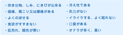 ・吹き出物、しみ、にきびが出来る　・頭痛、肩こり又は腰痛がある　・よくのぼせる　・食欲がすすまない　・肌荒れ、顔色が悪い　・冷え性である　・気力がない　・イライラする、よく眠れない　・口臭がある　・オナラが多く、臭い